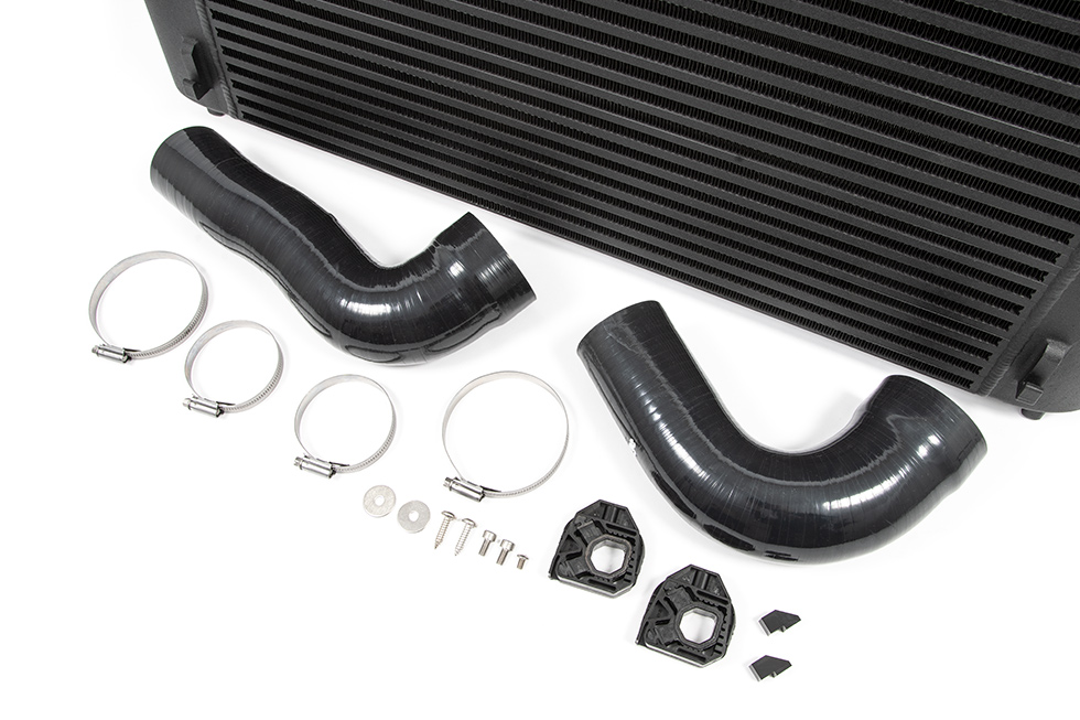 Forge Motorsport Silicone Hoses for FMINT24