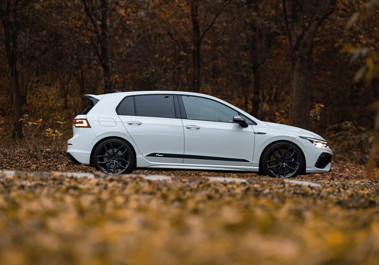 Racingline-Lowering-Springs-