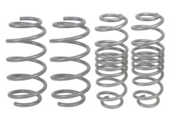 Whiteline Performance Lowering Spring Kit Ford Fiesta WZ 2013-2018 - WSK-FRD002