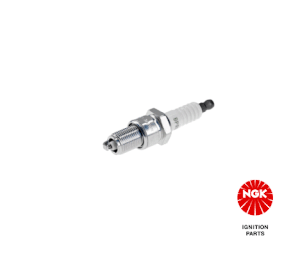 NGK BPR6E Nickel Spark Plug (6464)
